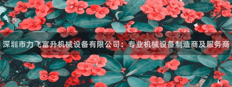 金年会网站被拒绝出款怎么处理?