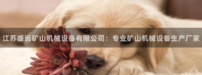 金年会网址导航在线播放