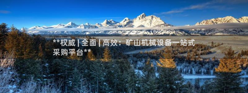 金年会体育app官网下载