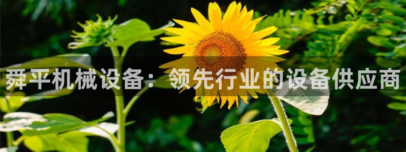 金年会pp电子