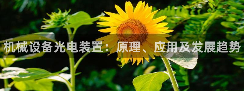 金年会app官方网站是什么