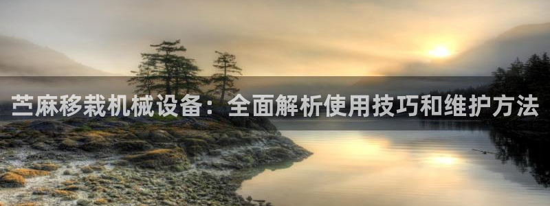 金年会金字招牌网址