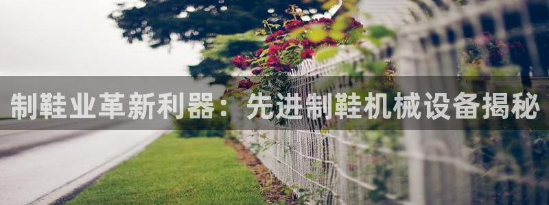 金年会官方娱乐app下载安卓