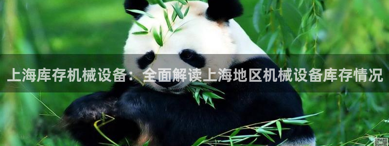 金年会网站登录