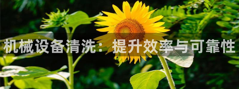 金年会pg官网