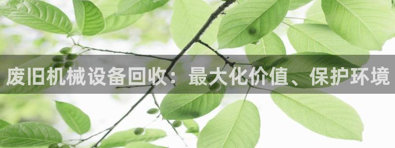 金年会电子官网下载