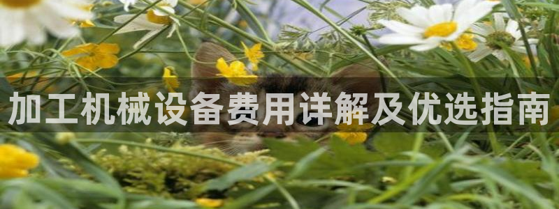 金年会入口登录