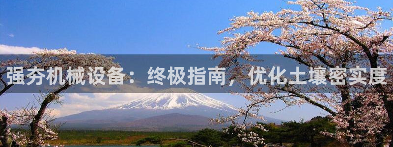 金年会官方平台官网