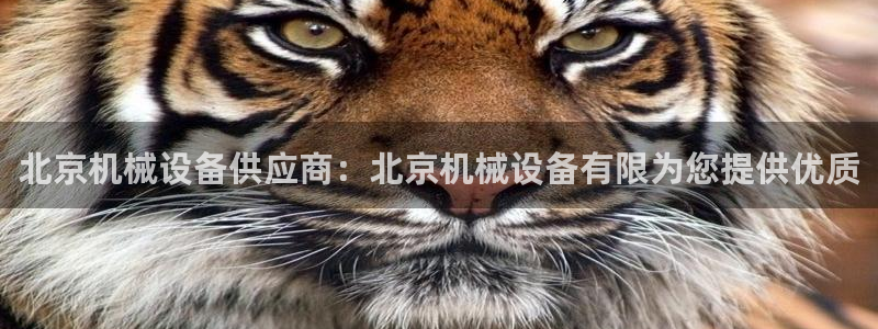 金年会官方网址是什么