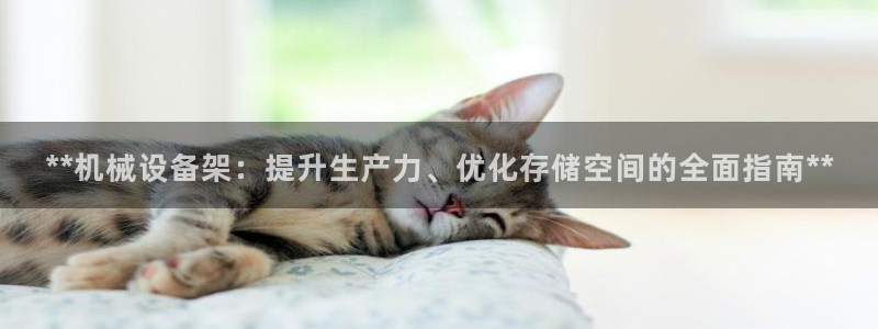 金年会平台是黑网还是白网
