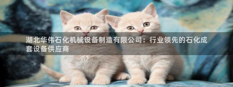 金年会体育手机app下载官网最新版