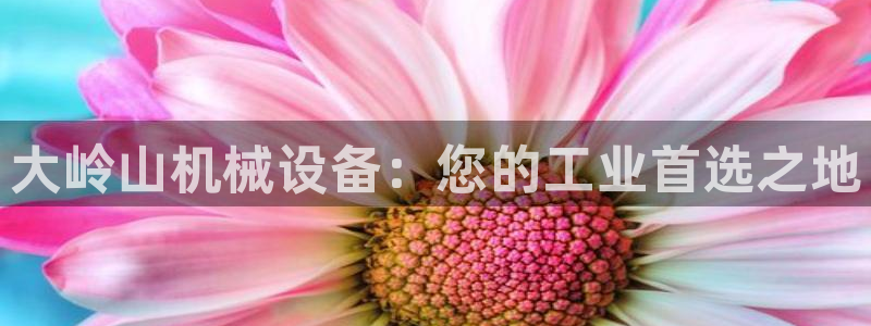 金年会体育app官网下载