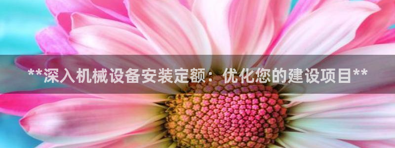 金年会jinnianhuicom
