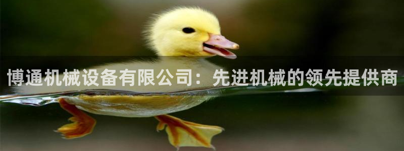 金年会官方登录入口