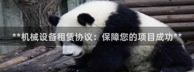 金年会体育全站网站登录：**机械设备租赁协议：保障您的项目成功**