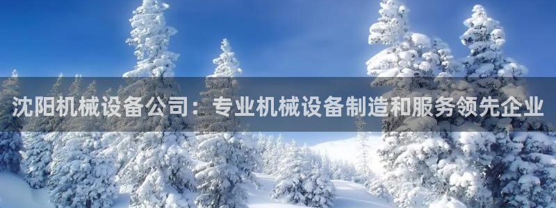 金年会黑不黑：沈阳机械设备公司：专业机械设备制造和服务领先企业