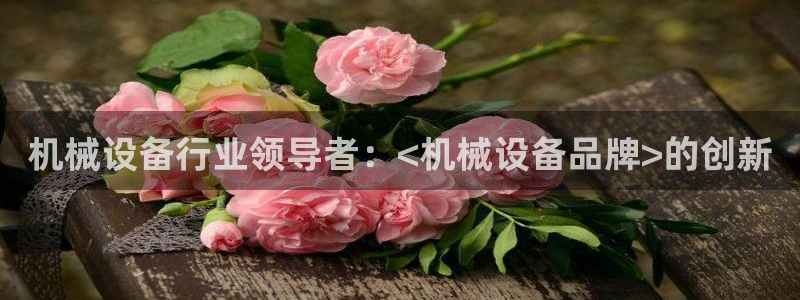 金年会官方在线登录网站：机械设备行业领导者：<机械设备品牌>的创新