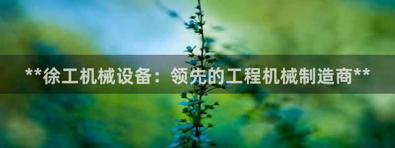 金年会手机网页版官网：**徐工机械设备：领先的工程机械制造商**