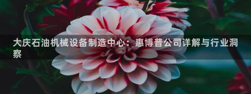 金年会ios版下载安装：大庆石油机械设备制造中心：惠博普公司详解与行业洞
察