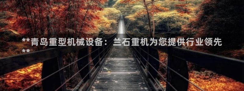 金年会体育官方：**青岛重型机械设备：兰石重机为您提供行业领先
**