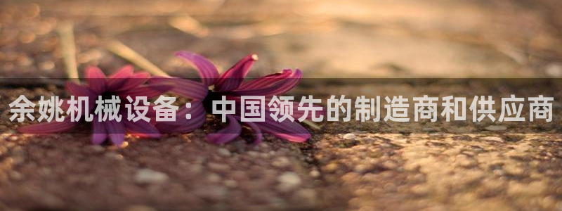 金年会官方网站入口登录：余姚机械设备：中国领先的制造商和供应商