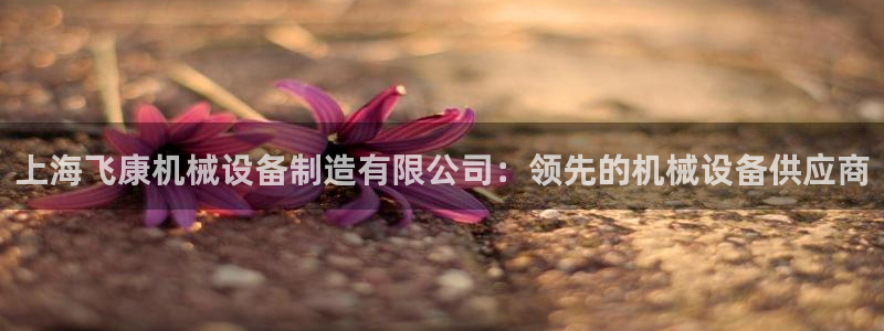 金年会jinnianhuicom：上海飞康机械设备制造有限公司：领先的机械设备供应商