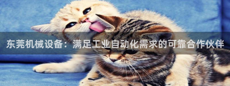 金年会体育平台新地址：东莞机械设备：满足工业自动化需求的可靠合作伙伴