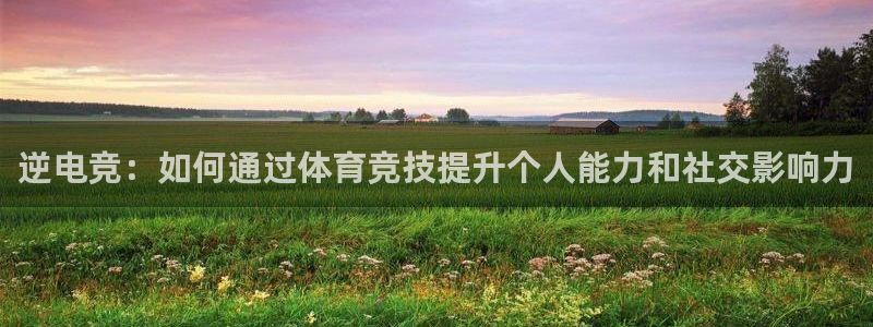 乐鱼电竞app：逆电竞：如何通过体育竞技提升个人能力和社交影响力