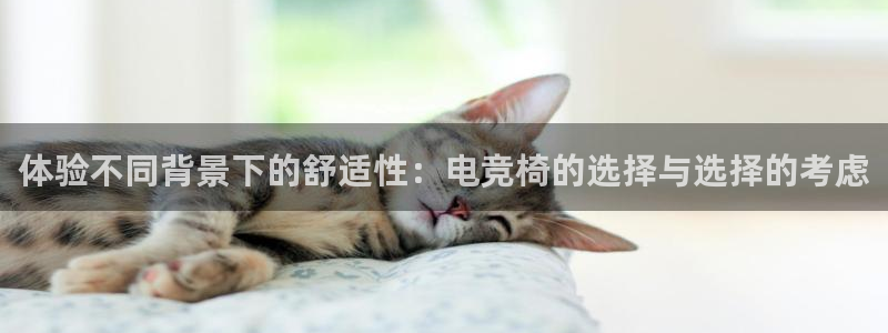 乐鱼电竞平台：体验不同背景下的舒适性：电竞椅的选择与选择的考虑