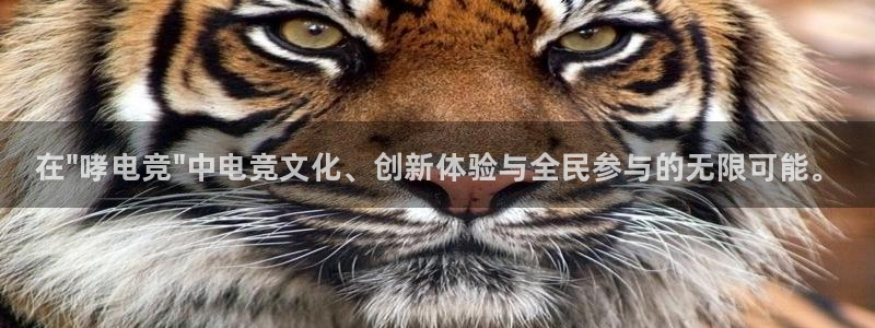 乐鱼电竞官网：在\