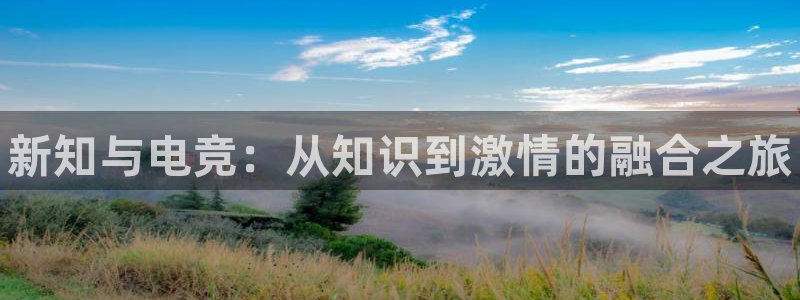 乐鱼电竞英雄联盟app官方：新知与电竞：从知识到激情的融合之旅
